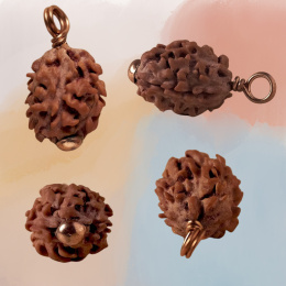 Autentyczna Isha Dwimukhi Rudraksha Konsekrowana w Dhyanalinga