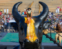 Isha Life's Nandi Statue (Nandi Replica)