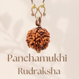 Rudraksha Panchamukhi Isha (five faced) z miedzianym łańcuszkiem