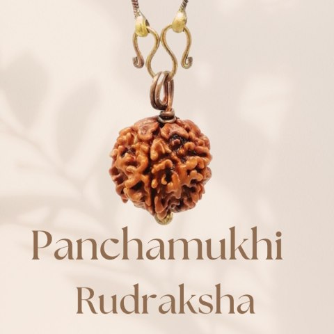 Rudraksha Panchamukhi Isha (fünfseitig) mit Kupferkette