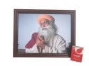 Framed photo Sadhguru ISHA 22.5x17.5