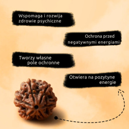 Shanmukhi - Rudraksha ISHA Shanmukhi 6-faced Konsekrowana w Dhyanalinga